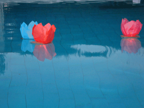 Water Lily Floating Flower Lanterns in swimming pool