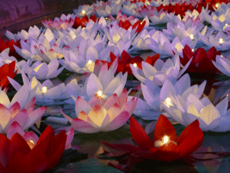 Lotus Floating Flower Lanterns in Trafalgar Square